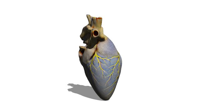 Heart 3D 모델 .c4d .max .obj .3ds .fbx .stl .blend 