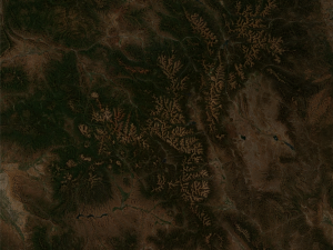 Realistic Terrain 5 3Dモデル