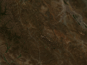 Realistic Terrain 29 Model 3D