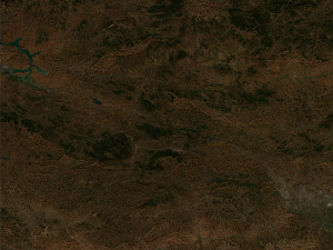 Realistic Terrain 34 3D Model
