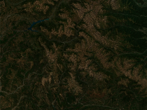 Realistic Terrain 41 3D Model