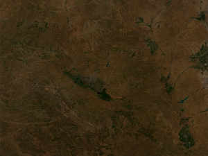Realistic Terrain 49 3D 模型