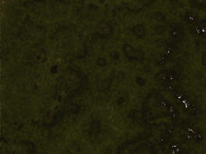 Terraced Terrain 3D 모델