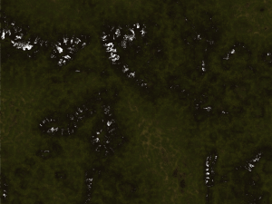 Terraced Terrain 3 3D 模型
