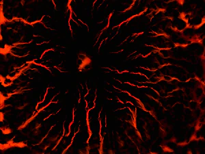 Volcano Terrain 2 3D Model