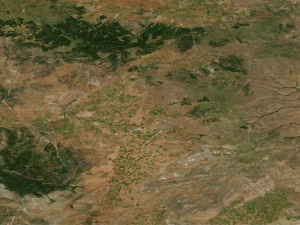 Realistic Terrain 56 3D Model