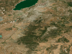 Realistic Terrain 58 3D Model