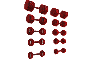 High-quality set of 5 dumbbells in a realistic 3D-Modell