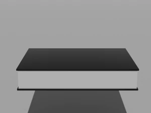 Basic Book 3D Model
