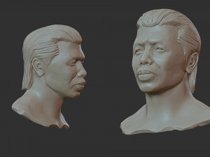 Bolo yeung 3D-Druckmodell