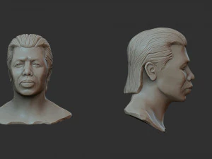 Bolo yeung 3D Print Model