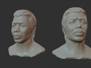 Bolo yeung 3D Print Model