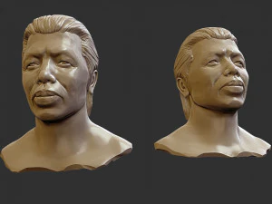 Bolo yeung 3D Print Model