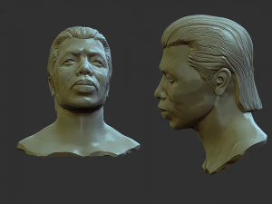 Bolo yeung 3D Print Model