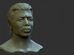 Bolo yeung 3D Print Model