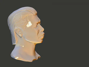Bolo yeung 3D Print Model