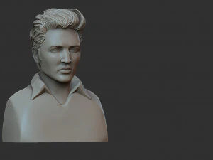Elvis Presley 3D Print Model