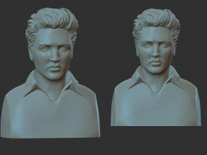 Elvis Presley 3D Print Model