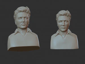 Elvis Presley 3D Print Model