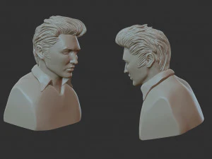 Elvis Presley 3D Print Model