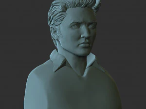 Elvis Presley 3D Print Model