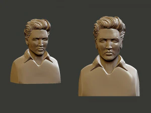 Elvis Presley 3D Print Model