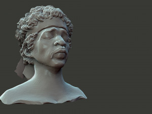 Jimi Hendrix Modelo de Impressão 3D