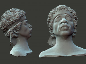 Jimi Hendrix Modelo de Impressão 3D
