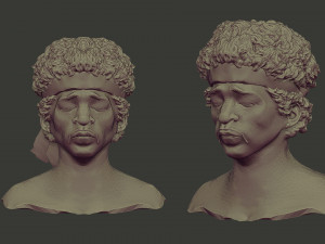 Jimi Hendrix Modelo de Impressão 3D