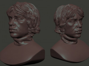 Mick Jagger 3D Print Model