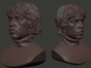 Mick Jagger 3D Print Model