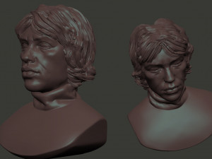 Mick Jagger 3D Print Model