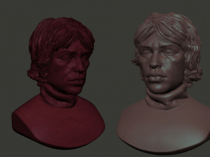 Mick Jagger 3D Print Model