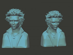 Sid Vicious 3D-printmodel