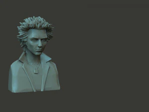 Sid Vicious 3D Print Model