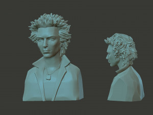 Sid Vicious 3D-printmodel