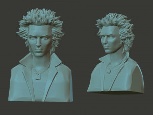 Sid Vicious 3D-printmodel