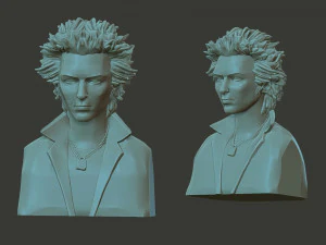 Sid Vicious 3D Print Model
