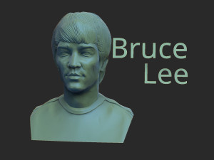 Bruce lee Modello di stampa 3D