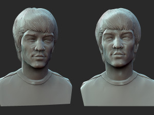 Bruce lee 3D Принт Модель