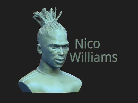 Nico Williams 3D Print Model