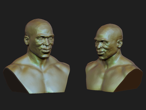 Ron Coleman Model do druku 3D