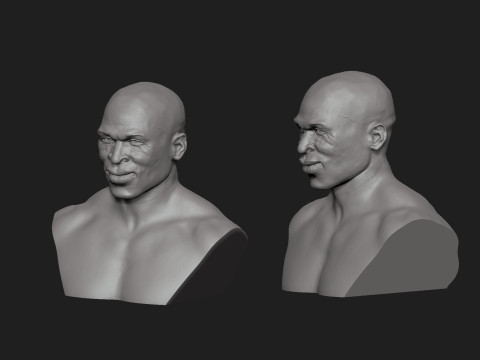 Ron Coleman Model do druku 3D