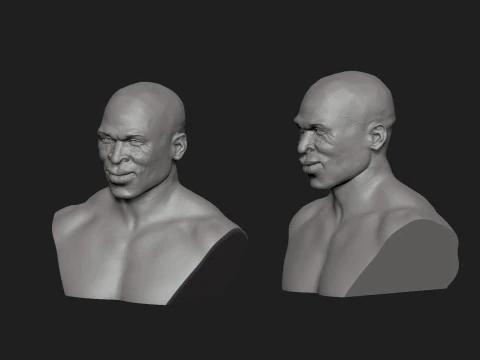 Ron Coleman 3D Print Model