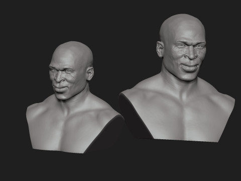 Ron Coleman Model do druku 3D