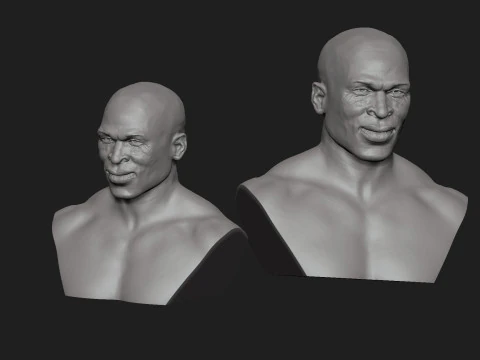 Ron Coleman 3D Print Model
