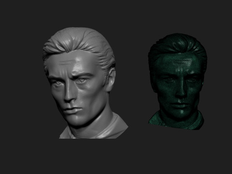 Alain Delon 3D 打印模型
