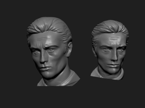 Alain Delon 3D 打印模型