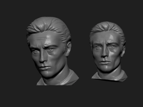 Alain Delon 3D Print Model