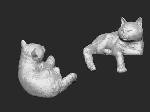 Cat bookholder 3D Model